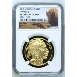 2015 W .9999 FINE ULTRA CAMEO (2)